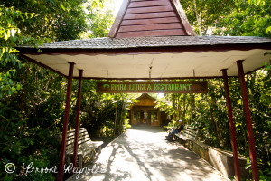 Rimba Lodge, Borneo