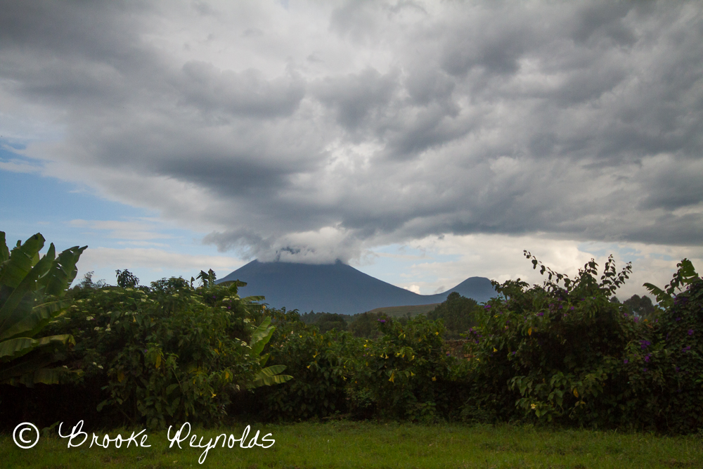 Uganda Virunga Volcano | Compassionate Nomads